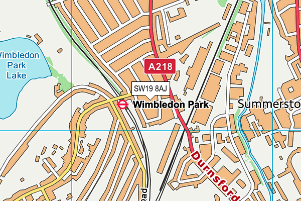 SW19 8AJ map - OS VectorMap District (Ordnance Survey)