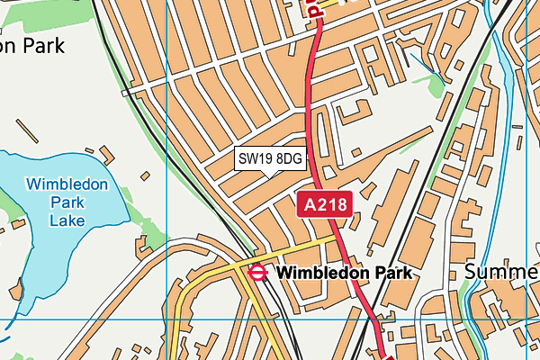 SW19 8DG map - OS VectorMap District (Ordnance Survey)