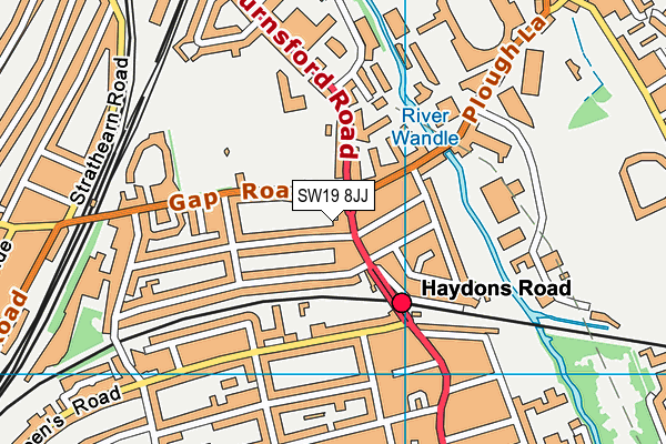 SW19 8JJ map - OS VectorMap District (Ordnance Survey)