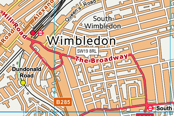 SW19 8RL map - OS VectorMap District (Ordnance Survey)