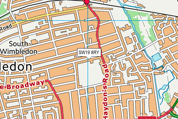SW19 8RY map - OS VectorMap District (Ordnance Survey)