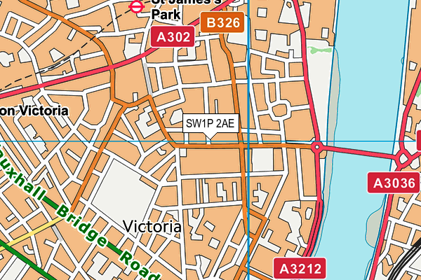 SW1P 2AE map - OS VectorMap District (Ordnance Survey)