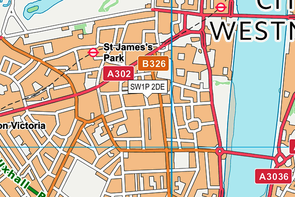SW1P 2DE map - OS VectorMap District (Ordnance Survey)