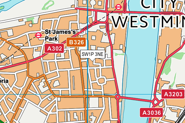 SW1P 3NE map - OS VectorMap District (Ordnance Survey)