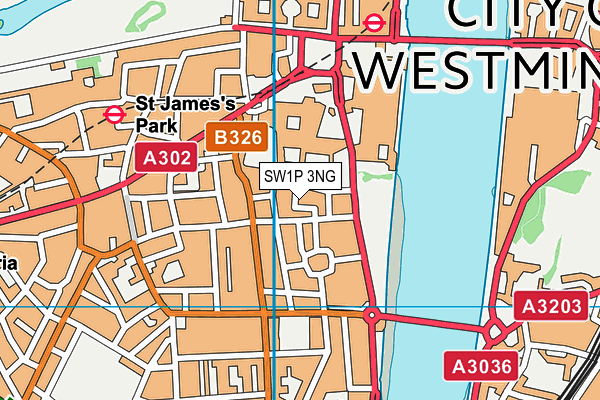 SW1P 3NG map - OS VectorMap District (Ordnance Survey)