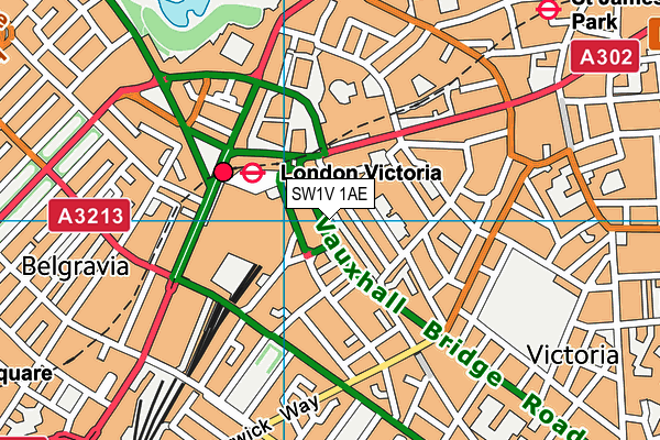 SW1V 1AE map - OS VectorMap District (Ordnance Survey)