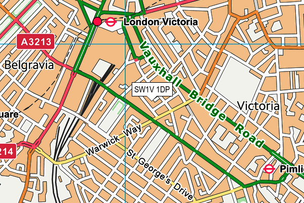 SW1V 1DP map - OS VectorMap District (Ordnance Survey)