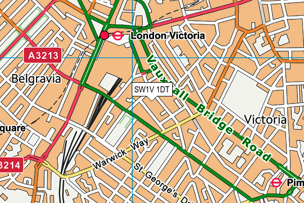SW1V 1DT map - OS VectorMap District (Ordnance Survey)