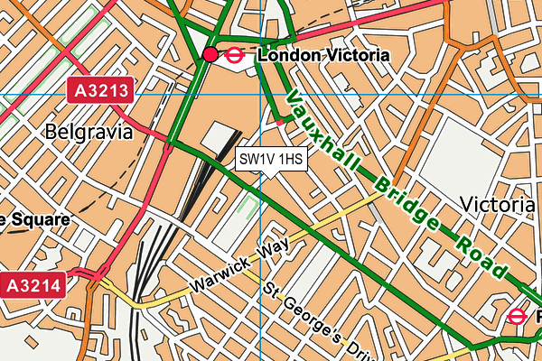 SW1V 1HS map - OS VectorMap District (Ordnance Survey)