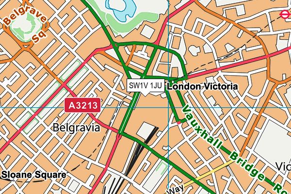 SW1V 1JU map - OS VectorMap District (Ordnance Survey)