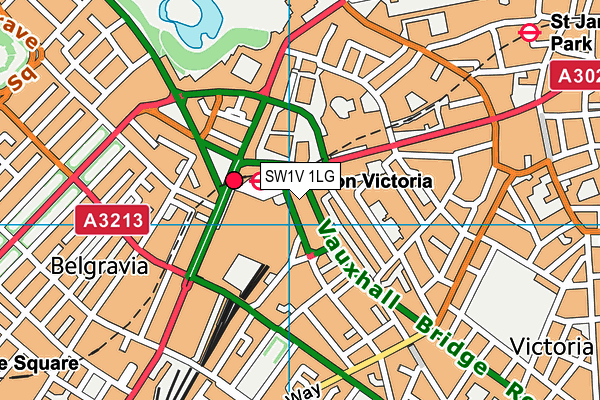 SW1V 1LG map - OS VectorMap District (Ordnance Survey)