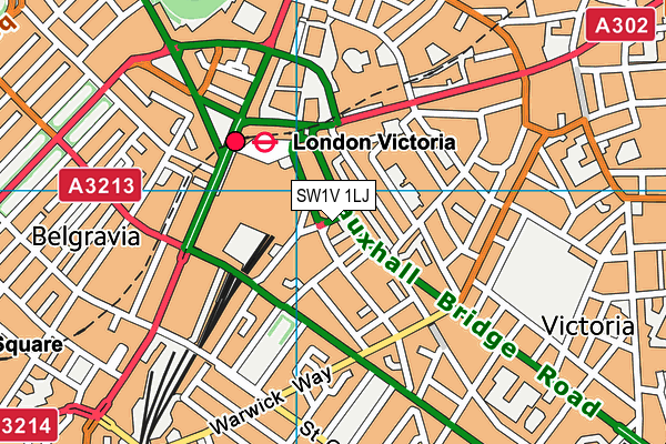 SW1V 1LJ map - OS VectorMap District (Ordnance Survey)