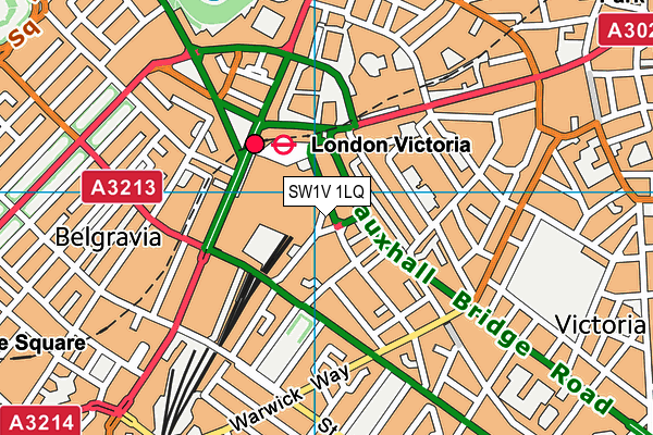 SW1V 1LQ map - OS VectorMap District (Ordnance Survey)