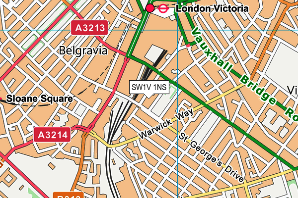 SW1V 1NS map - OS VectorMap District (Ordnance Survey)