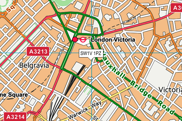 SW1V 1PZ map - OS VectorMap District (Ordnance Survey)