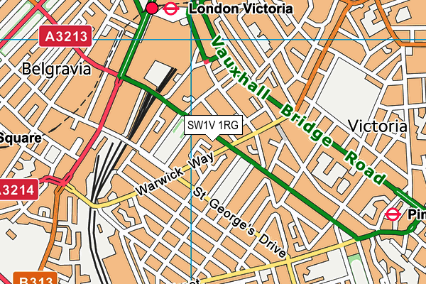 SW1V 1RG map - OS VectorMap District (Ordnance Survey)