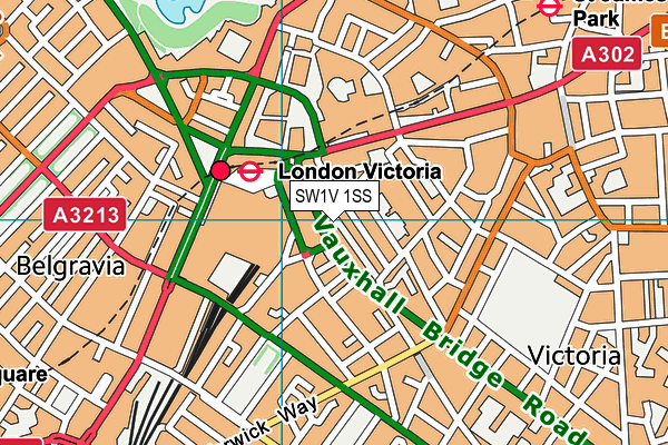 SW1V 1SS map - OS VectorMap District (Ordnance Survey)