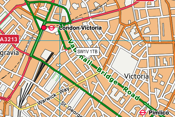 SW1V 1TB map - OS VectorMap District (Ordnance Survey)