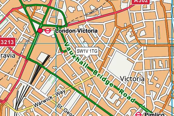 SW1V 1TG map - OS VectorMap District (Ordnance Survey)