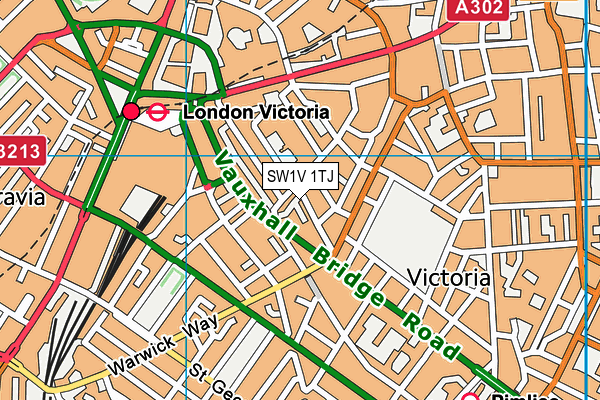 SW1V 1TJ map - OS VectorMap District (Ordnance Survey)
