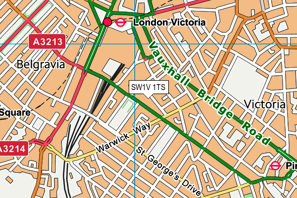 SW1V 1TS map - OS VectorMap District (Ordnance Survey)