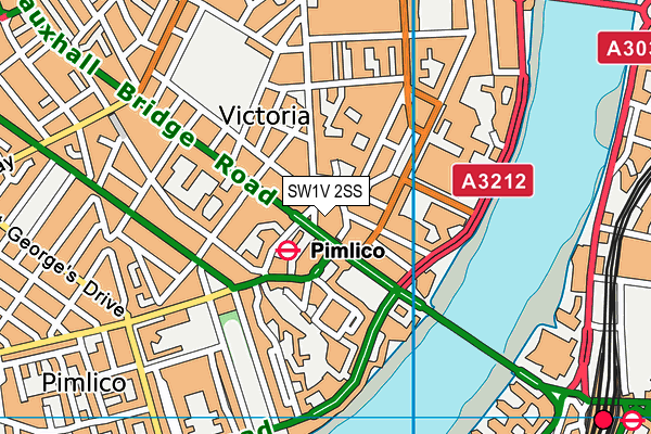 SW1V 2SS map - OS VectorMap District (Ordnance Survey)