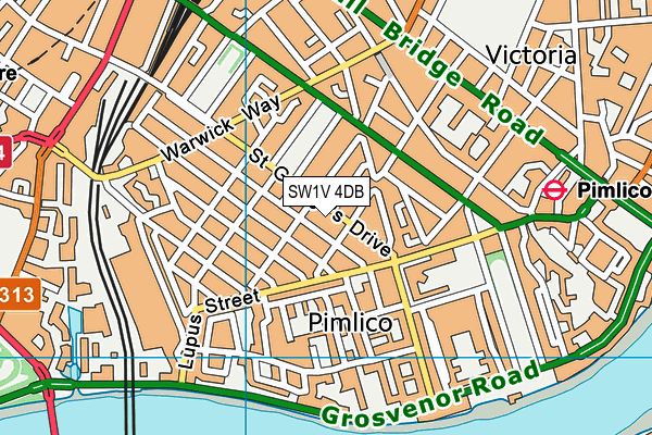 SW1V 4DB map - OS VectorMap District (Ordnance Survey)
