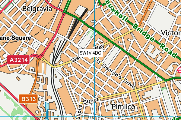 SW1V 4DG map - OS VectorMap District (Ordnance Survey)