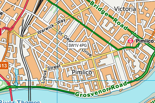 SW1V 4PG map - OS VectorMap District (Ordnance Survey)