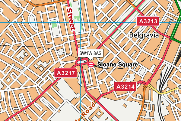 SW1W 8AS map - OS VectorMap District (Ordnance Survey)