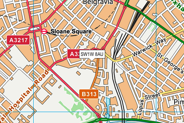 SW1W 8AU map - OS VectorMap District (Ordnance Survey)