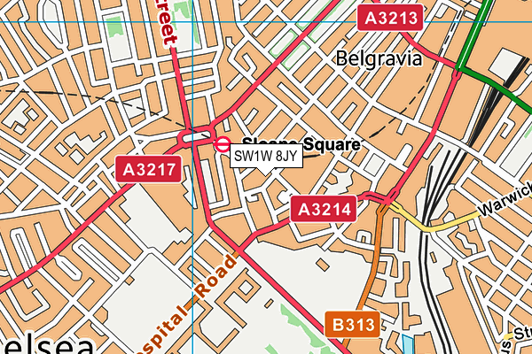SW1W 8JY map - OS VectorMap District (Ordnance Survey)