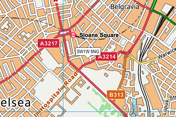 SW1W 8NG map - OS VectorMap District (Ordnance Survey)