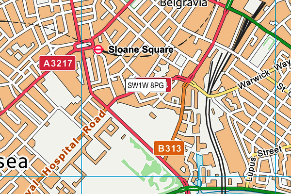 SW1W 8PG map - OS VectorMap District (Ordnance Survey)