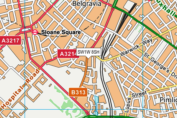 SW1W 8SH map - OS VectorMap District (Ordnance Survey)