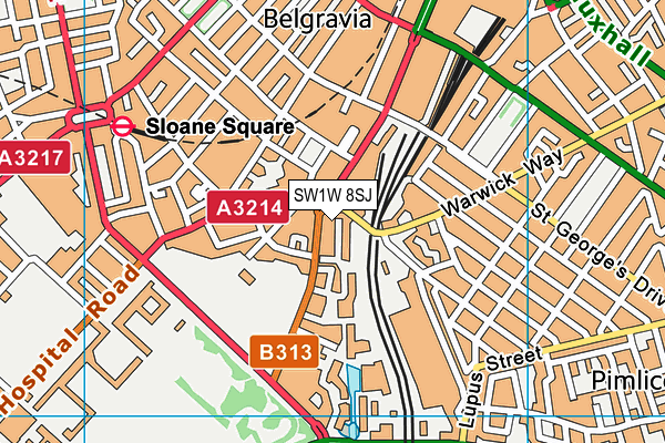 SW1W 8SJ map - OS VectorMap District (Ordnance Survey)