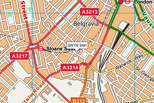 SW1W 9AH map - OS VectorMap District (Ordnance Survey)