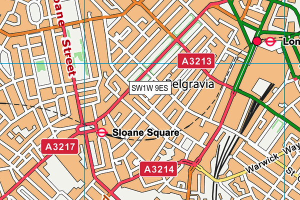 SW1W 9ES map - OS VectorMap District (Ordnance Survey)
