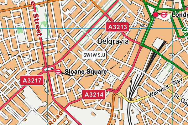 SW1W 9JJ map - OS VectorMap District (Ordnance Survey)