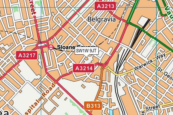 SW1W 9JT map - OS VectorMap District (Ordnance Survey)