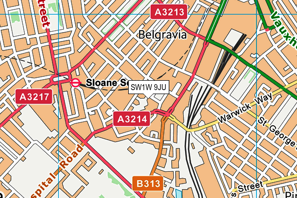 SW1W 9JU map - OS VectorMap District (Ordnance Survey)