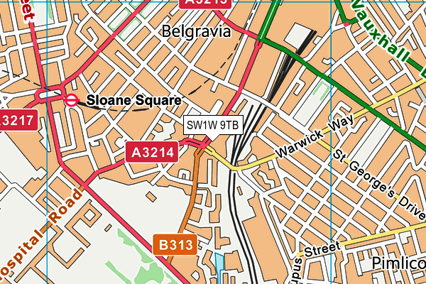 SW1W 9TB map - OS VectorMap District (Ordnance Survey)