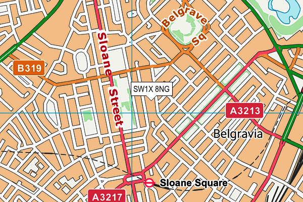 SW1X 8NG map - OS VectorMap District (Ordnance Survey)