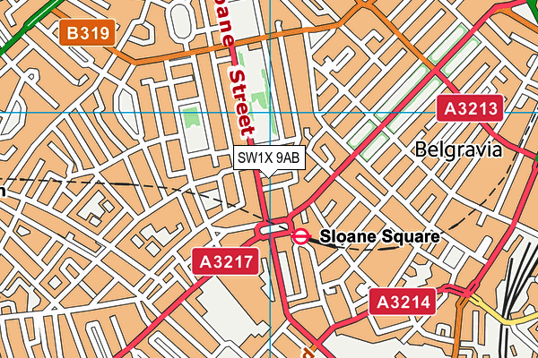 SW1X 9AB map - OS VectorMap District (Ordnance Survey)