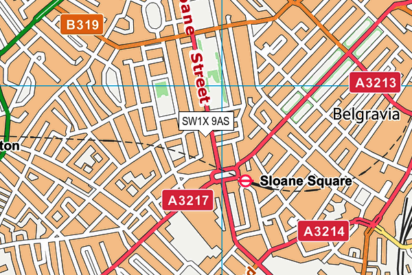 SW1X 9AS map - OS VectorMap District (Ordnance Survey)