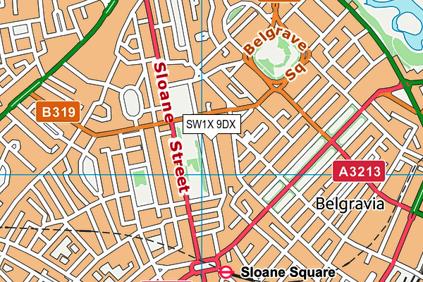 SW1X 9DX map - OS VectorMap District (Ordnance Survey)