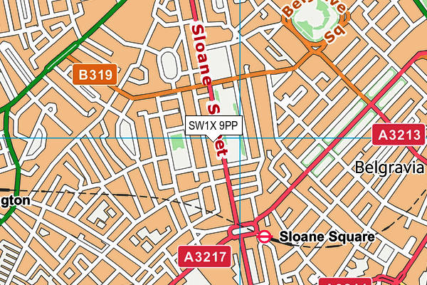 SW1X 9PP map - OS VectorMap District (Ordnance Survey)