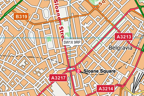 SW1X 9RP map - OS VectorMap District (Ordnance Survey)