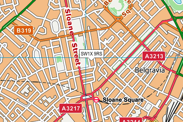 SW1X 9RS map - OS VectorMap District (Ordnance Survey)