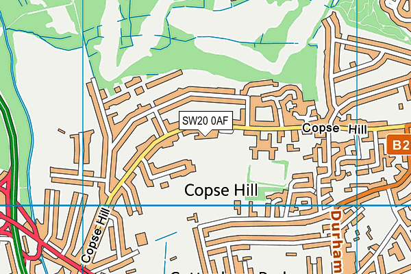 SW20 0AF map - OS VectorMap District (Ordnance Survey)